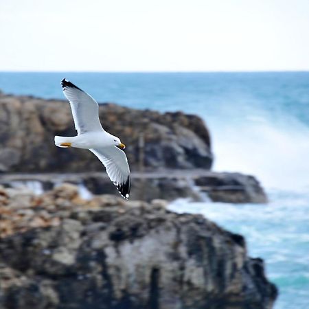 Casa Vacanza Leuca Santa Maria di Leuca Dış mekan fotoğraf